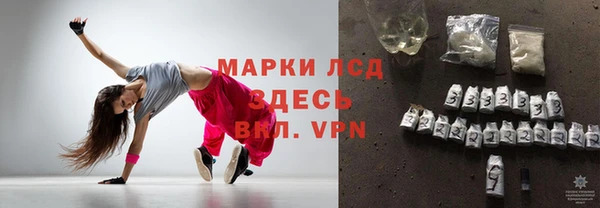 сатива Нязепетровск