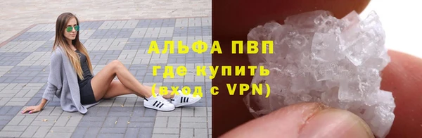 сатива Нязепетровск