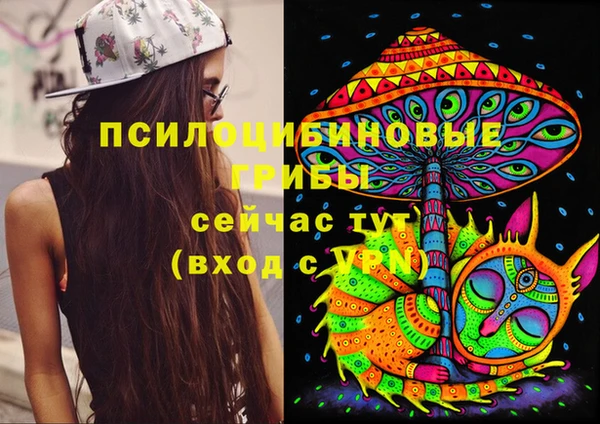 сатива Нязепетровск