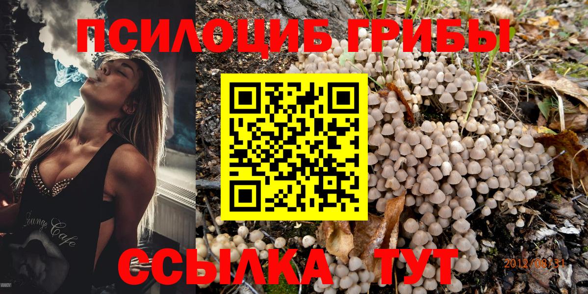 Псилоцибиновые грибы Psilocybe  Вход с VPN  цена наркотик  Галлюциногенные грибы GOLDEN TEACHER  Алейск 
