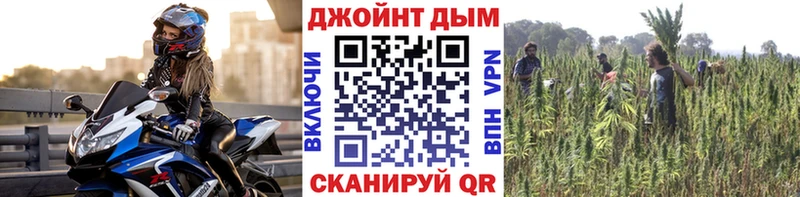 Бошки марихуана THC 21%  продажа наркотиков  Алейск 